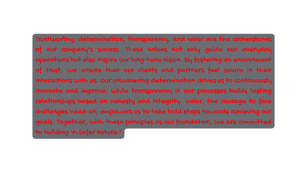 Trustworthy determination transparency and valor are the cornerstones of our company s success These values not only guide our everyday operations but also inspire our long term vision By fostering an environment of trust we ensure that our clients and partners feel secure in their interactions with us Our unwavering determination drives us to continuously innovate and improve while transparency in our processes builds lasting relationships based on honesty and integrity Valor the courage to face challenges head on empowers us to take bold steps towards achieving our goals Together with these principles as our foundation we are committed to building A Safer Future